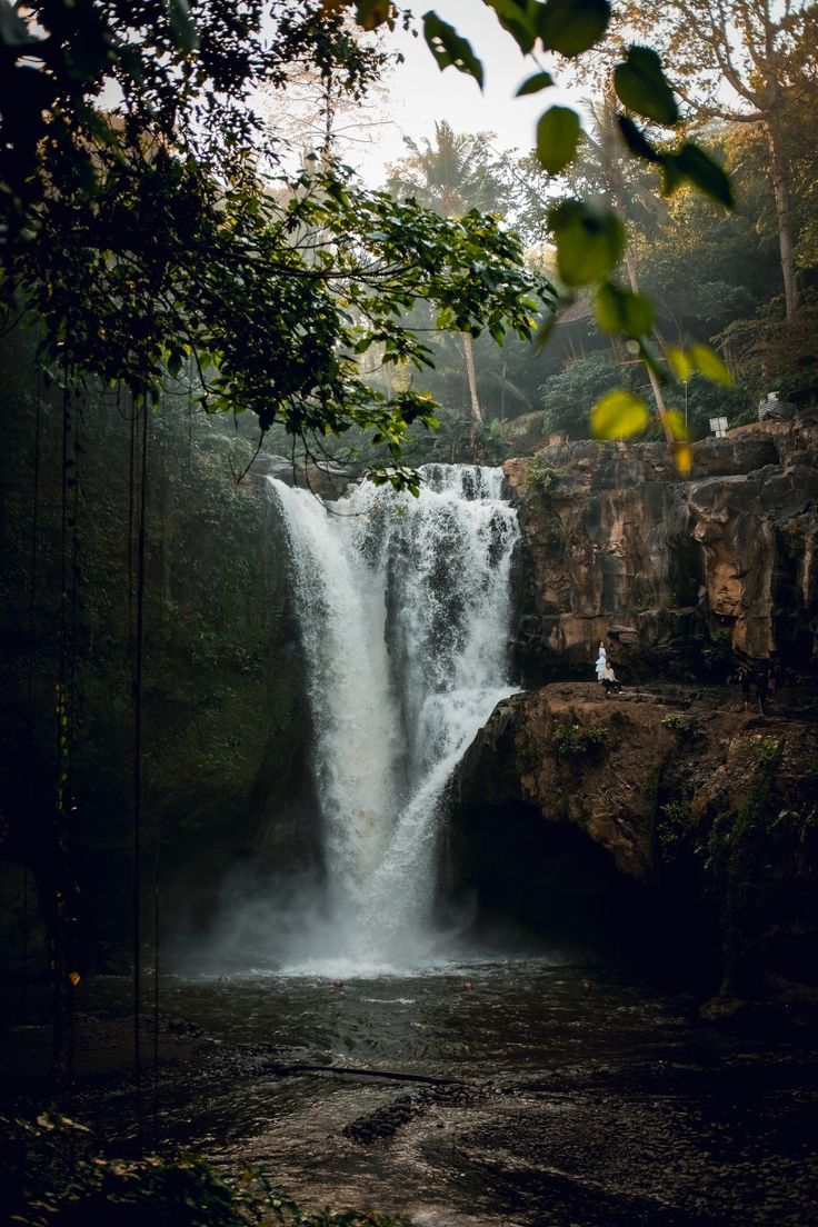 Kintamani/Mount Batur, Ubud sightseeing, Tegenungan Waterfall, Coffee Plantation & Bali Swing.